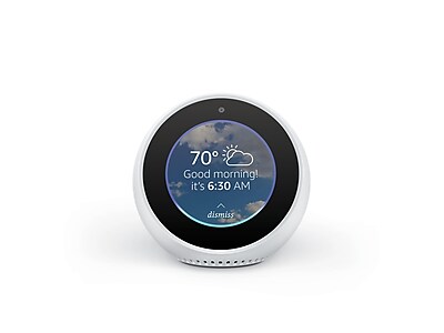 echo spot staples
