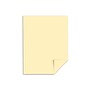 Exact 110 lb. Index Paper, 8.5" x 11", Ivory, 250 Sheets/Pack (49581)~#|#~sp43807090_sc7