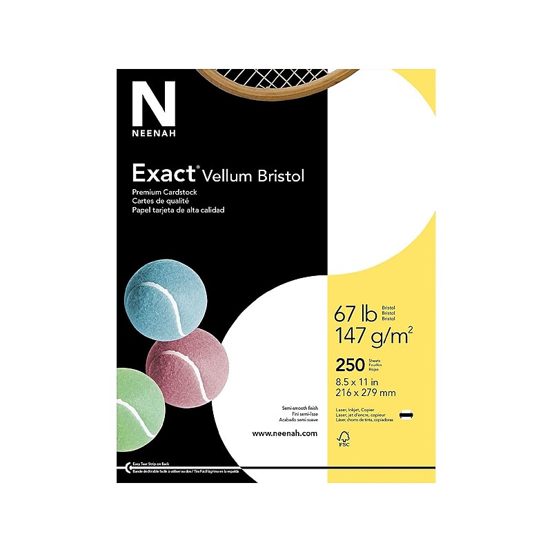 Exact Vellum Bristol Vellum Bristol 67 lb. Cardstock Paper, 8.5" x 11", White, 250 Sheets/Pack (80218 / 81318) image 1