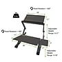 Uncaged Ergonomics WorkEZ Standing Desk Silver (WESDs)~#|#~sp4396698_sc7