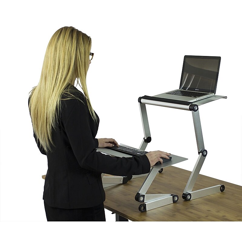 Uncaged Ergonomics WorkEZ Standing Desk Silver (WESDs) image 1