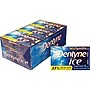 Dentyne Ice Sugar Free Peppermint Gum, 16 Pieces/Pack, 9 Packs/Box (VAM05111)~#|#~sp44335540_sc7