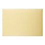 Quality Park Open End Document Envelopes, 10" x 14 3/4", Cameo Buff, 100/Box (QUA89606)~#|#~sp44342105_sc7