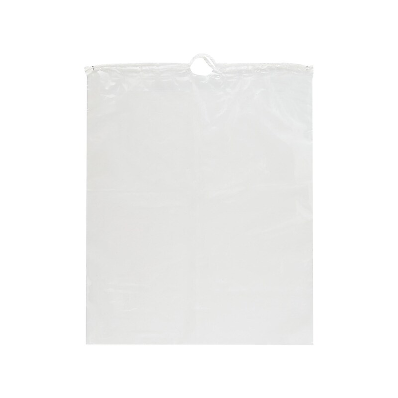 Fourgals Deposit Bags, Clear, 1000/Carton (GAL12X15DS) image 1