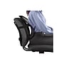 Fellowes Office Suites Mesh Back Support, Black (8036501)~#|#~sp44342605_sc7