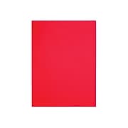 Quality Park Clasp & Moistenable Catalog Envelopes, 9" x 12", Red, 10/Pack (QUA38734)