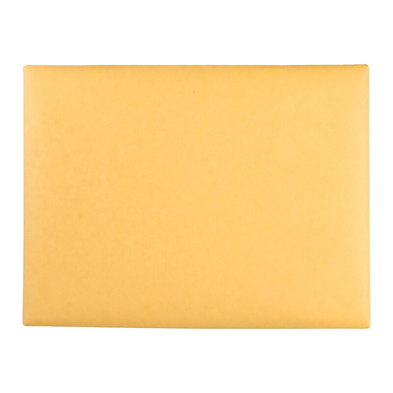 Quality Park Clasp Kraft Catalog Envelopes, 9"L x 12"H, Kraft, 100/Box (QUA38090) image 1