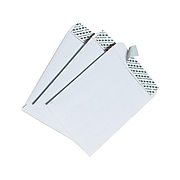 6 x 9 Envelopes for Mailing | Staples