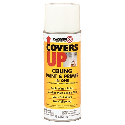 RustOleum Zinsser Covers Up Ceiling Paint & Primer In One, White, 13
