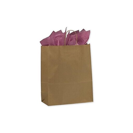 Shop Staples for Kraft Paper 15.5"H x 13"W x 6"D Shopping Bags, Brown, 250/Pack