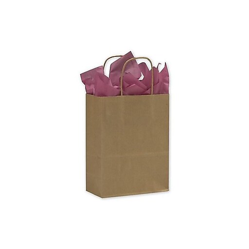 Shop Staples for Paper 81/4"W x 43/4"D x 101/2"H Cub Shopper Bags