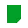 Astrobrights Cardstock Paper, 65 lbs, 8.5" x 11", Gamma Green, 250/Pack (22741)~#|#~sp44845177_sc7