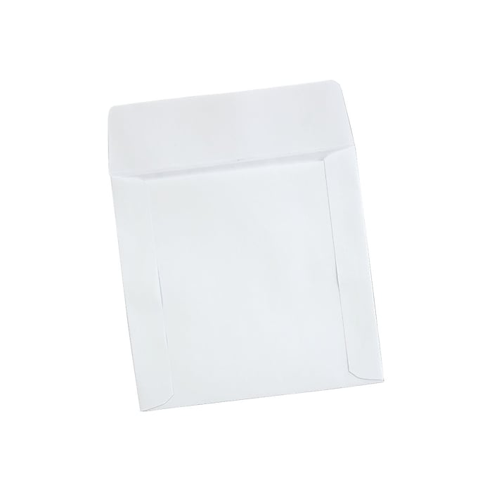 Quality Park Sleeves for CD/DVD, White Paper, 100/Box (QUA62903