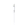 Apple Lightning USB Cable for iPhone/iPad/iPod Touch, 3.3 ft., White (MD818AM/A)~#|#~sp44850968_sc7
