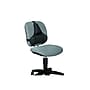 Fellowes Professional Back Support, Black (8037601)~#|#~sp44851226_sc7
