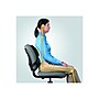 Fellowes Professional Back Support, Black (8037601)~#|#~sp44851229_sc7