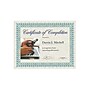 Southworth Parchment Certificates, 8.5" x 11", Ivory, 25/Pack (CT3R)~#|#~sp44851340_sc7