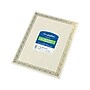 Geographics Serpentine Award Certificates, 8.5" x 11", Natural, 12/Pack (GEO44407)~#|#~sp45378460_sc7