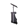 Techni Mobili 22"W Manual Adjustable Standing Laptop Cart, Black (RTA-B005-BK46)~#|#~sp45378675_sc7