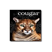 Domtar Cougar Digital 80 lb. Cover Paper, 11" x 17", White, 250 Sheets/Pack (2868)