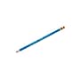 Prismacolor Premier Col-Erase Erasable Colored Pencils, Blue, 12/Box (20044)~#|#~sp45378937_sc7