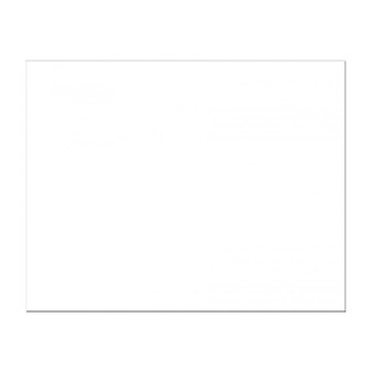 Pacon Railroad Poster Board, 22" x 28", White, 25/Carton (104159)