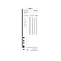 Pyramid Auto Calculating Punch Card Time Clock System, Black (5000+)~#|#~sp45959599_sc7