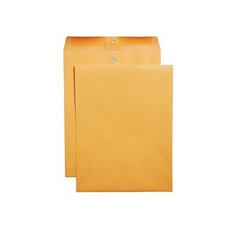 Staples Clasp & Moistenable Glue Catalog Envelopes, 10"L x 13"H, Brown, 100/Box (187039/19272)