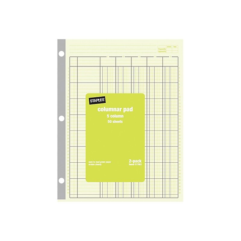 Staples Columnar Books, 100 Pages, 5 Columns, Green, 2/Pack (217851ABF) image 1