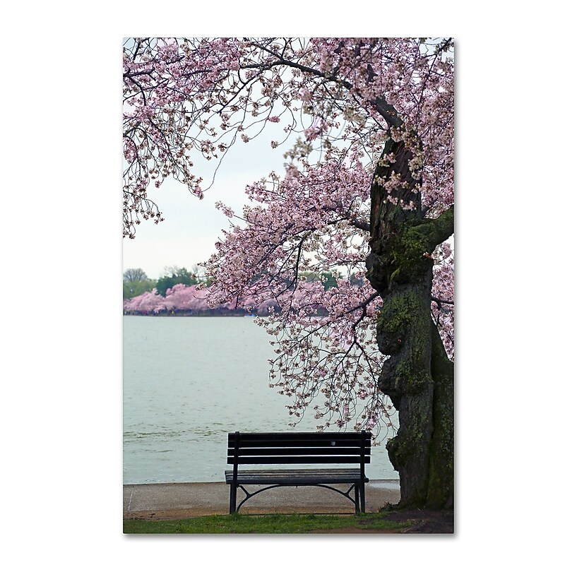 Trademark Fine Art CATeyes 'Tranquility' 12" x 19" Canvas Stretched Art Print (190836099528) image 1