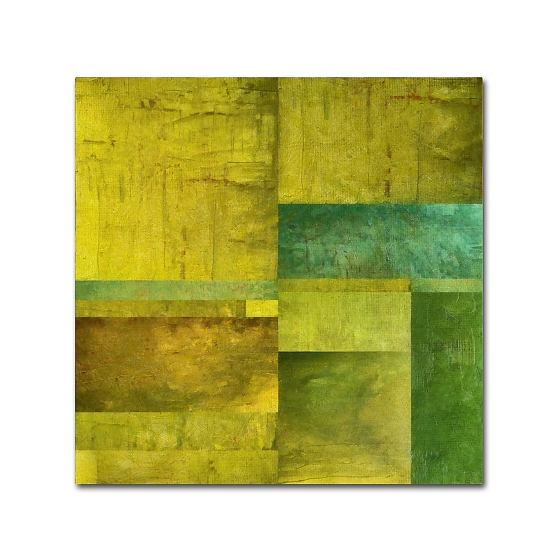 Trademark Fine Art Michelle Calkins 'Essence of Green' 18" x 18" Canvas Stretched (190836071357) image 1