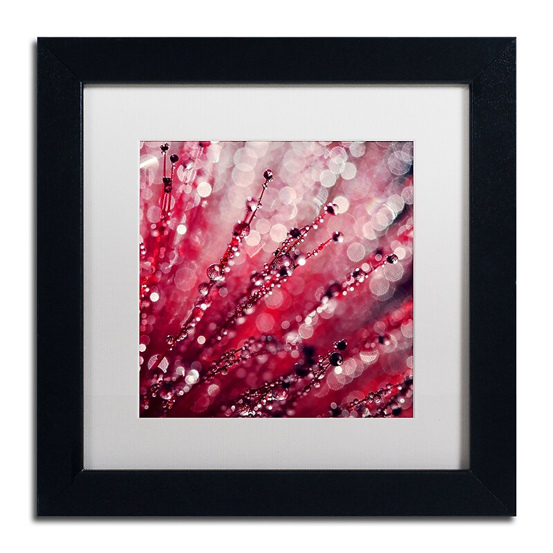 Trademark Fine Art Beata Czyzowska Young 'Red Melody' 11" x 11" Matted Framed (190836185306) image 1