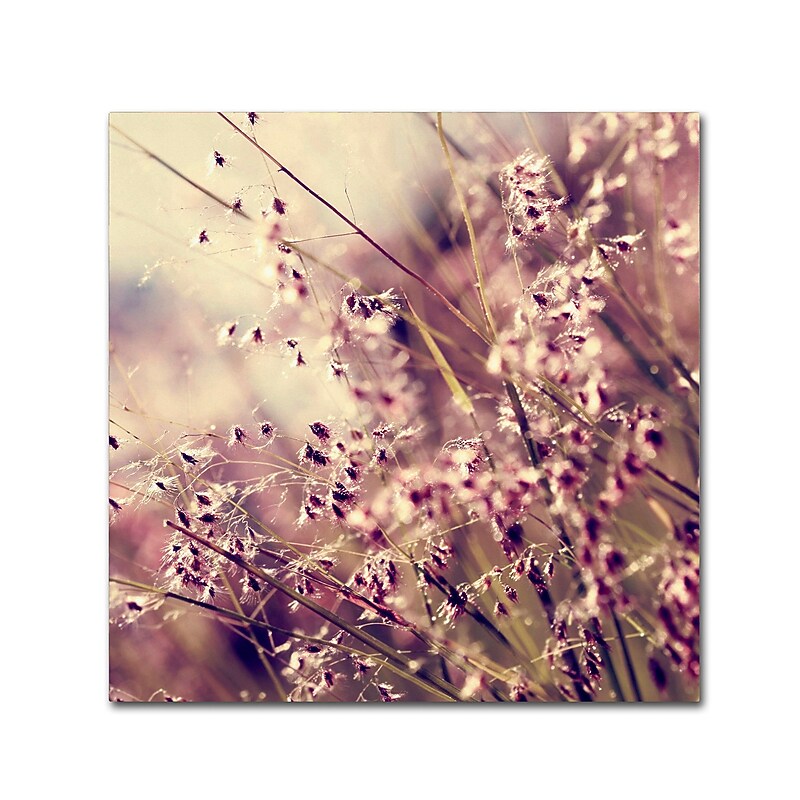 Trademark Fine Art Beata Czyzowska Young 'Field of Sunshine' 14" x 14" Canvas Stretched Art Print (190836183647) image 1