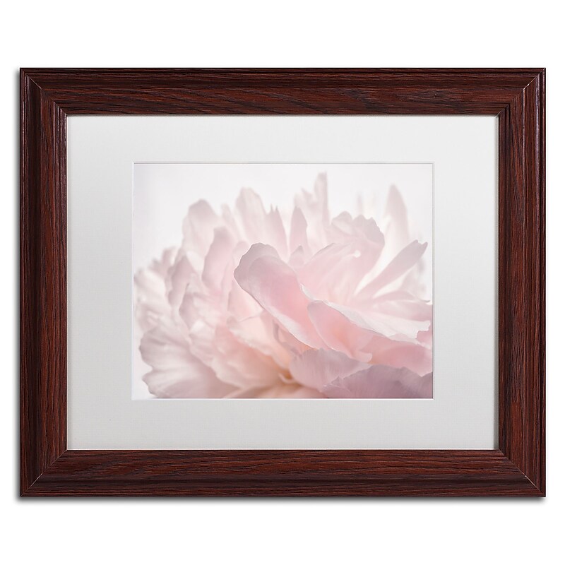 Trademark Fine Art Cora Niele 'Pink Peony Petals V' 11" x 14" Matted Framed (190836307944) image 1