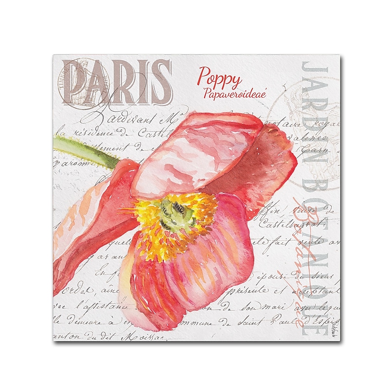 Trademark Fine Art Jennifer Redstreake 'Paris Botanique Red Poppy' 18" x 18" Canvas Stretched Art Print (886511944343) image 1