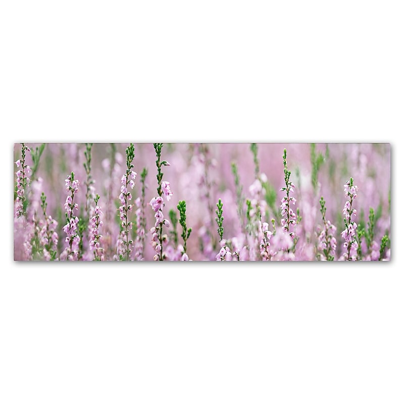 Trademark Fine Art Cora Niele 'Heather Scape' 6" x 19" Canvas Stretched (190836317523) image 1