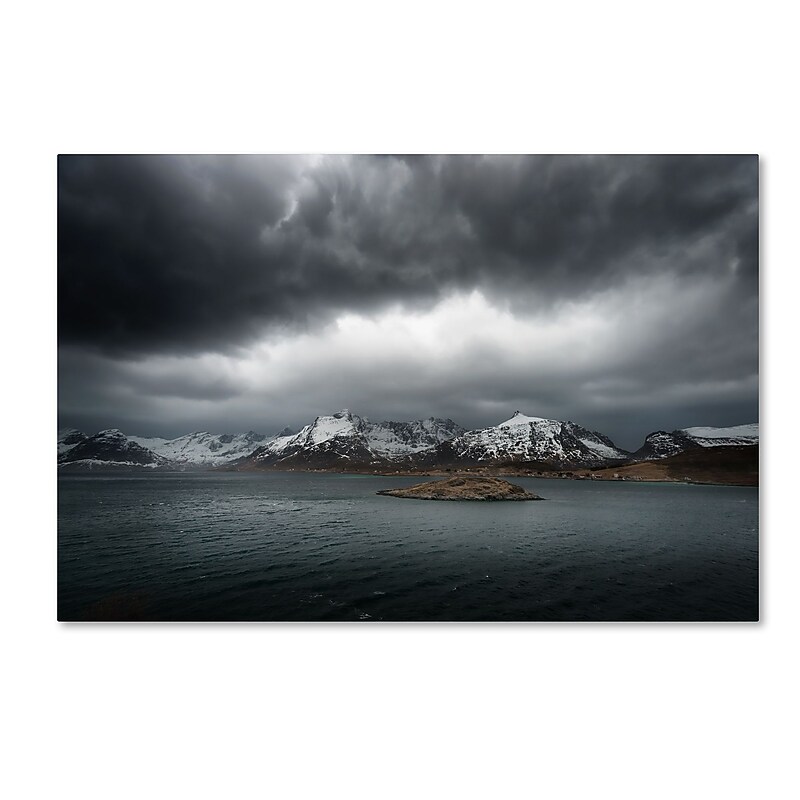 Trademark Fine Art Philippe Sainte-Laudy 'Grey' 12" x 19" Canvas Stretched Art Print (190836126545) image 1