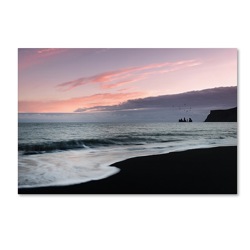 Trademark Fine Art Philippe Sainte-Laudy 'Vik Birds at Sunset' 12" x 19" Canvas Stretched (190836331888) image 1