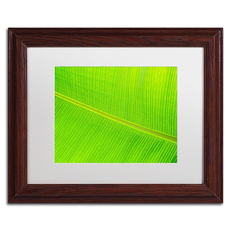 Trademark Fine Art Cora Niele 'Leaf Texture II' 11" x 14" Matted Framed (190836314386) image 1