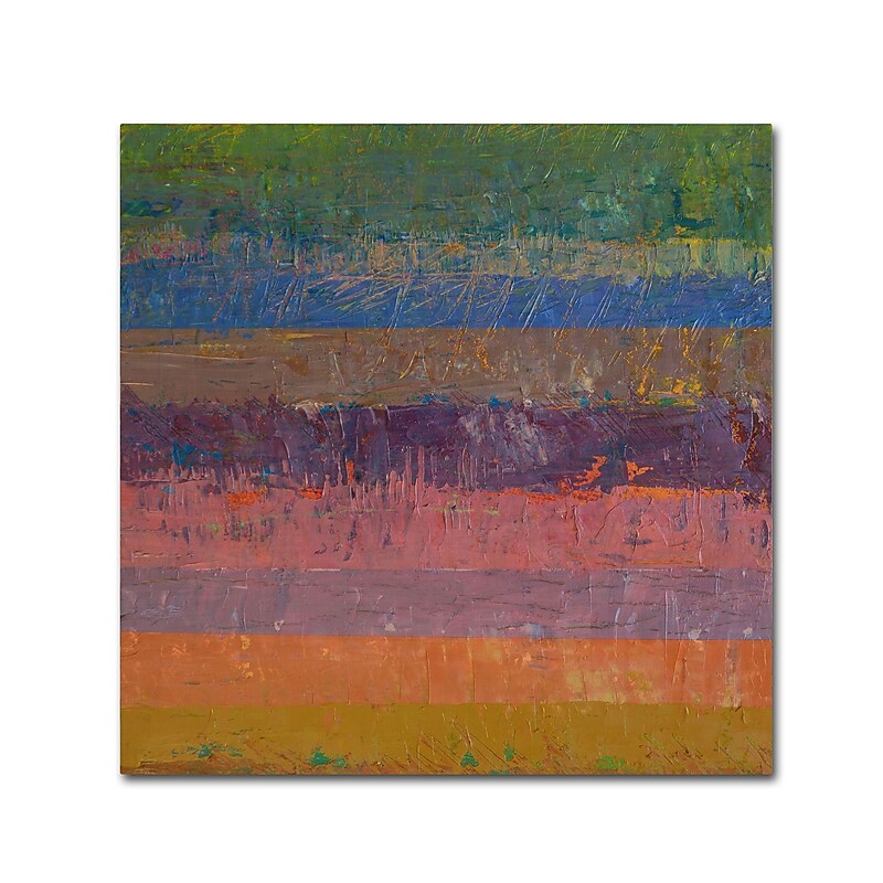 Trademark Fine Art Michelle Calkins 'Pink Line' 18" x 18" Canvas Stretched (190836074877) image 1