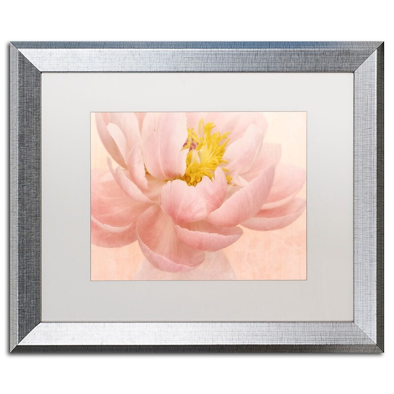 Trademark Fine Art Cora Niele 'Pink Peony' 16" x 20" Matted Framed (190836259595) image 1