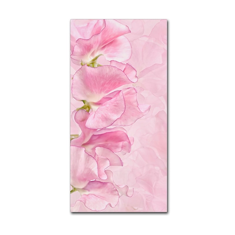 Trademark Fine Art Cora Niele 'Pink Sweet Peas' 12" x 24" Canvas Stretched (190836317714) image 1
