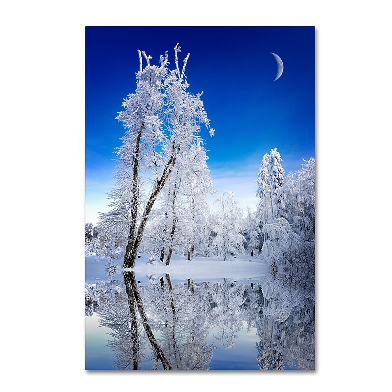 Trademark Fine Art Philippe Sainte-Laudy 'Emotive Ballad' 12" x 19" Canvas Stretched Art Print (190836121427) image 1