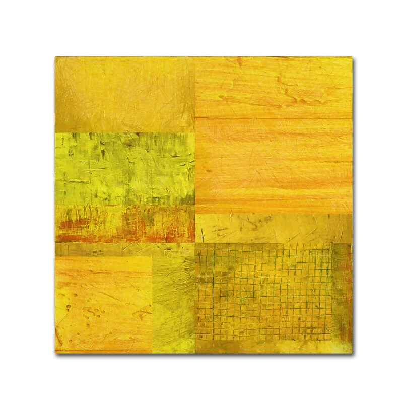 Trademark Fine Art Michelle Calkins 'Essence of Yellow' 18" x 18" Canvas Stretched (190836071678) image 1