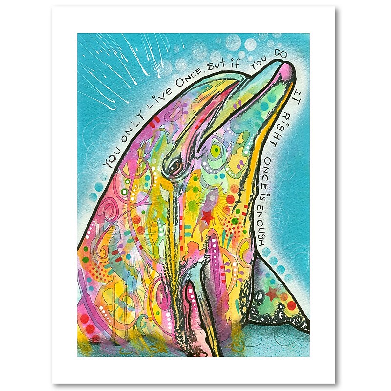 Trademark Fine Art Dean Russo 'Dolphin' 18" x 24" Paper Rolled (190836140428) image 1