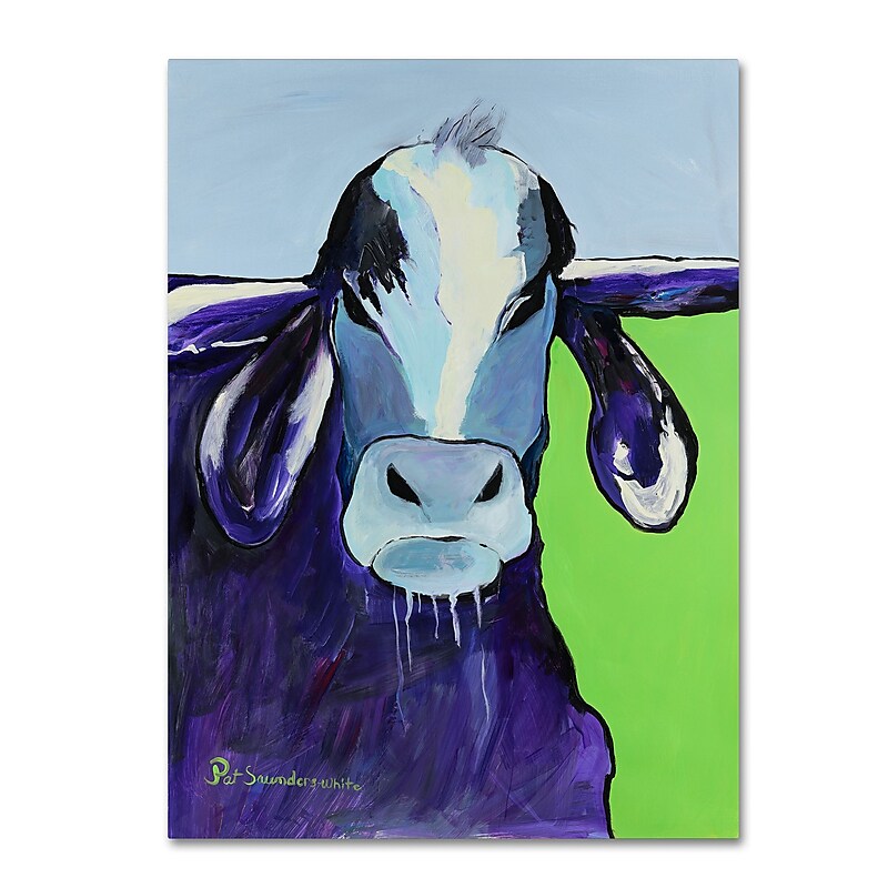 Trademark Fine Art Pat Saunders-White 'Bull Drool' 14" x 19" Canvas Stretched Art Print (190836063550) image 1