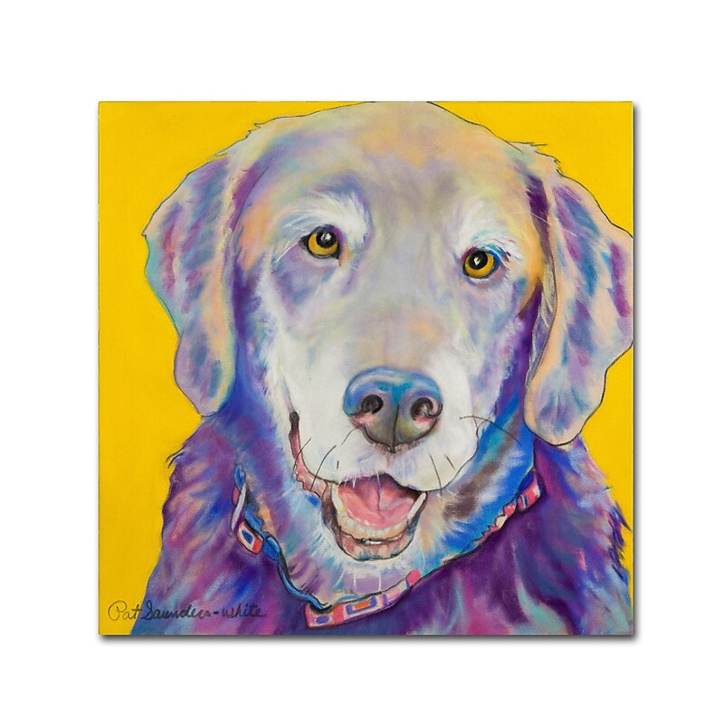 Trademark Fine Art Pat Saunders-White 'Willie' 14" x 14" Canvas Stretched Art Print (190836063239) image 1