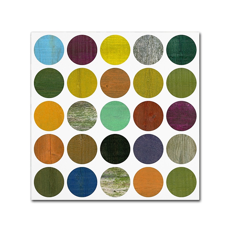 Trademark Fine Art Michelle Calkins 'Rustic Rounds 4.0' 14" x 14" Canvas Stretched Art Print (190836101740) image 1