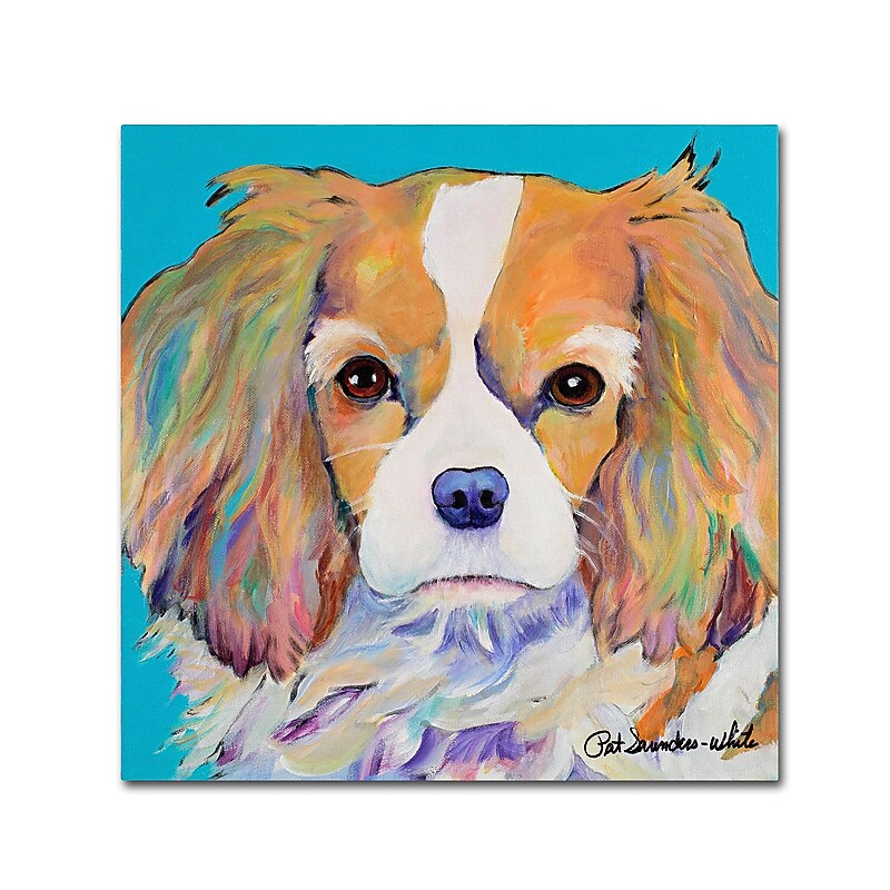 Trademark Fine Art Pat Saunders-White 'Dagney' 14" x 14" Canvas Stretched (190836058594) image 1