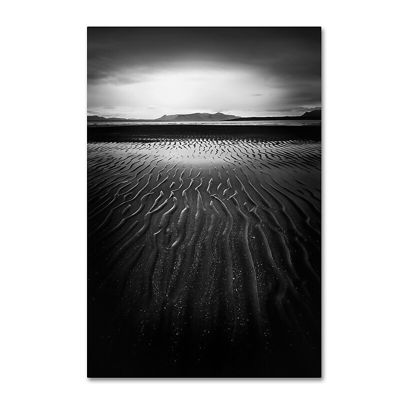 Trademark Fine Art Philippe Sainte-Laudy 'Black Magic' 12" x 19" Canvas Stretched Art Print (190836284924) image 1